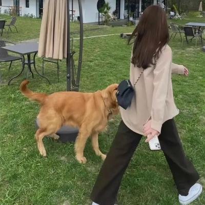 女警要离婚